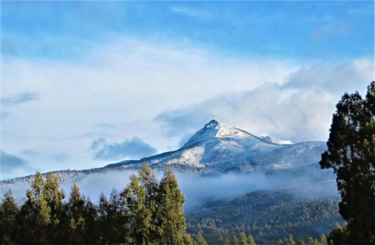 Maydena Mountain Cabins Екстериор снимка