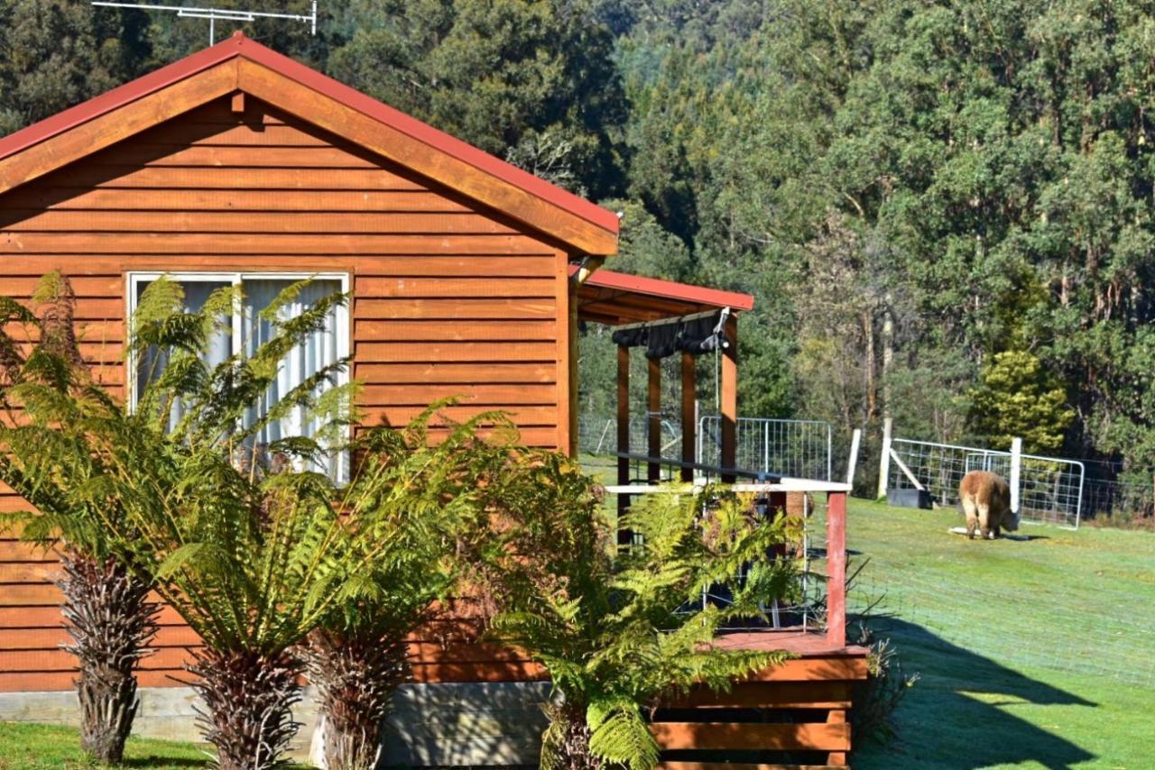Maydena Mountain Cabins Екстериор снимка